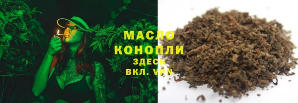 индика Киреевск