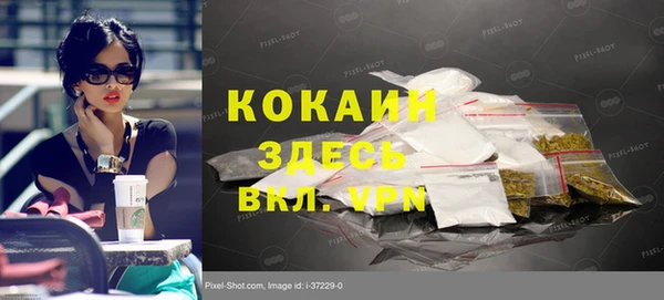 индика Киреевск