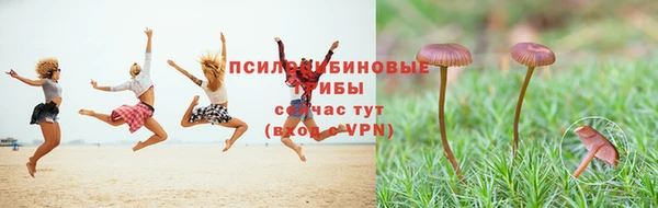 герыч Вуктыл