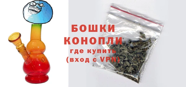 прущие грибы Кодинск