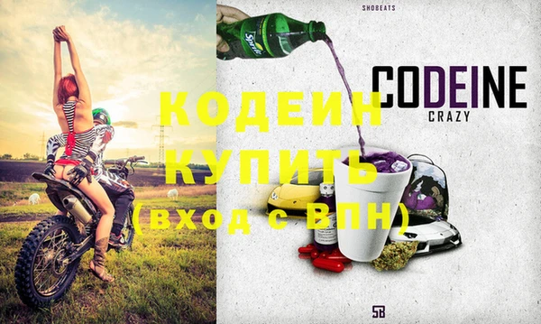 индика Киреевск