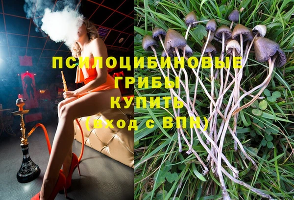 не бодяженный Козельск