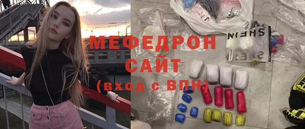 индика Киреевск