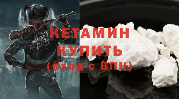 индика Киреевск
