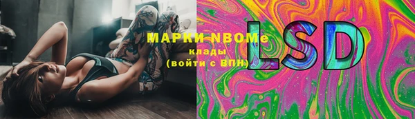 индика Киреевск