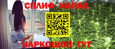 мяу мяу мука Гагарин