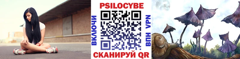 кракен ссылки  Кинель  Псилоцибиновые грибы мухоморы  сайты даркнета как зайти  купить  
