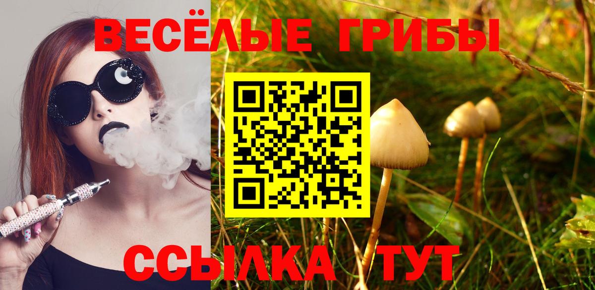 Галлюциногенные грибы Psilocybe  Вход с VPN  Галлюциногенные грибы Psilocybe  Кинель 